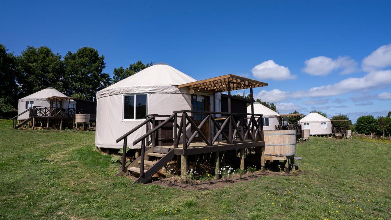 Apartament Domos Anulen Puerto Varas Zewnętrze zdjęcie