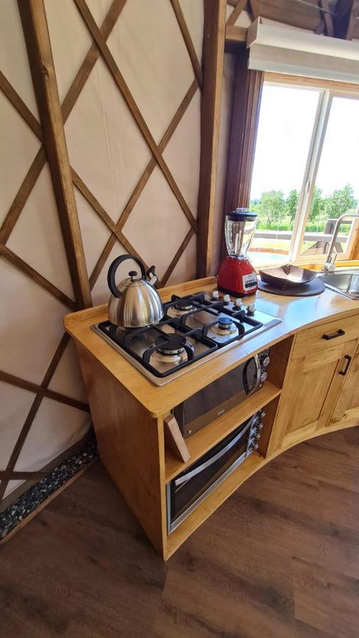Apartament Domos Anulen Puerto Varas Zewnętrze zdjęcie