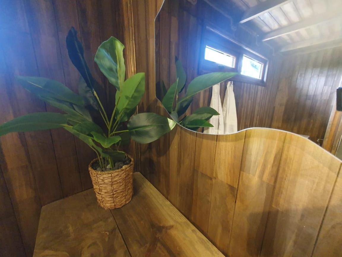 Apartament Domos Anulen Puerto Varas Zewnętrze zdjęcie
